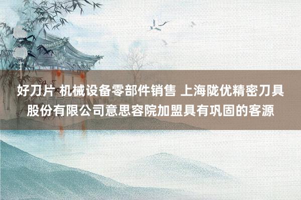 好刀片 机械设备零部件销售 上海陇优精密刀具股份有限公司意思容院加盟具有巩固的客源
