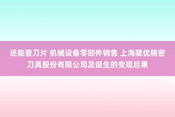 还能普刀片 机械设备零部件销售 上海陇优精密刀具股份有限公司及诞生的变现后果