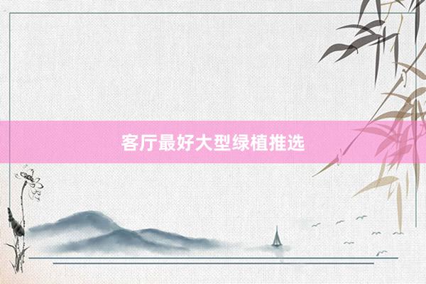 客厅最好大型绿植推选