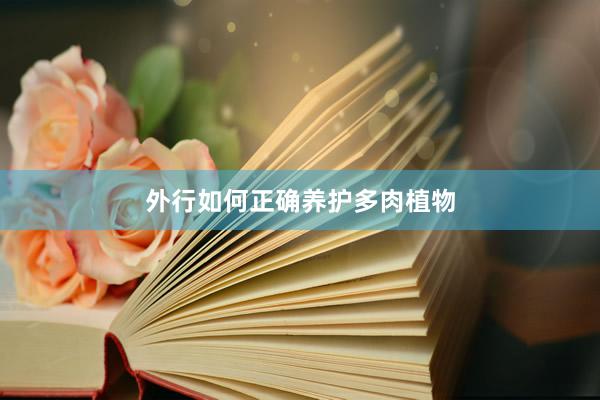 外行如何正确养护多肉植物