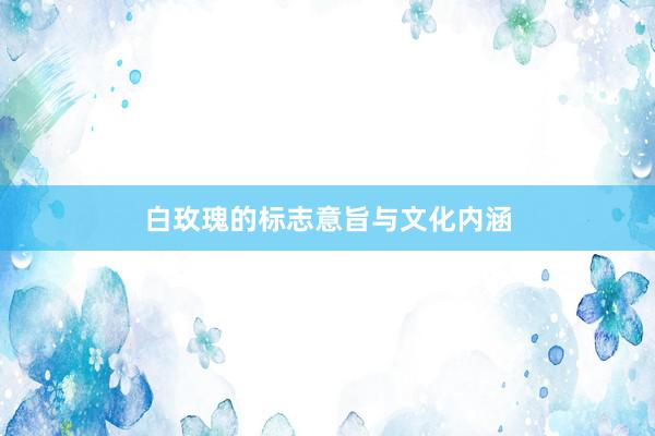 白玫瑰的标志意旨与文化内涵