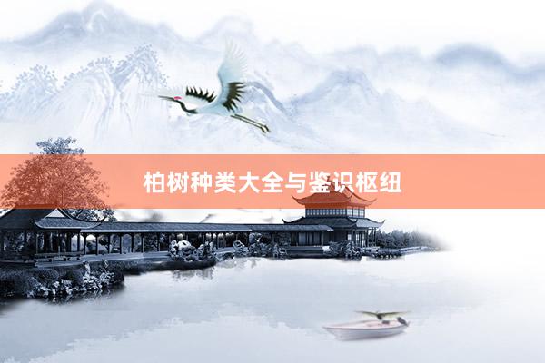 柏树种类大全与鉴识枢纽