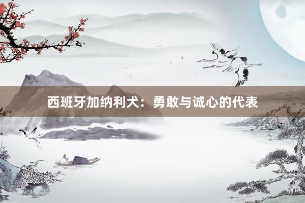 西班牙加纳利犬：勇敢与诚心的代表
