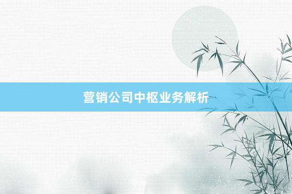 营销公司中枢业务解析